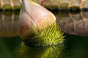 Dirk_E_Ellmer-9308.jpg