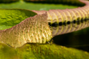 Dirk_E_Ellmer-9312.jpg