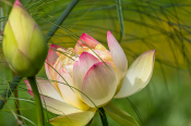 Dirk_E_Ellmer-9315.jpg