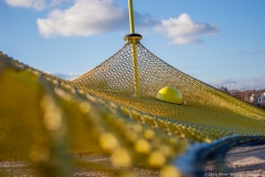 Kletternetzlandschaft