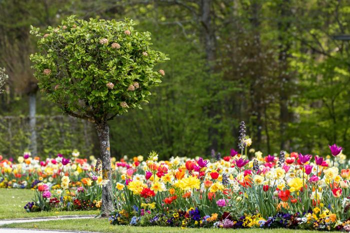 Eremitage in Bayreuth