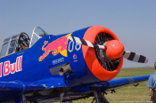 dirk_e_ellmer-5181
