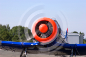 dirk_e_ellmer-5183
