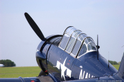dirk_e_ellmer-7332